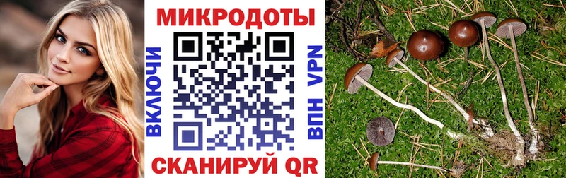 hydra зеркало  Отрадное  даркнет как зайти  где найти   Галлюциногенные грибы GOLDEN TEACHER 